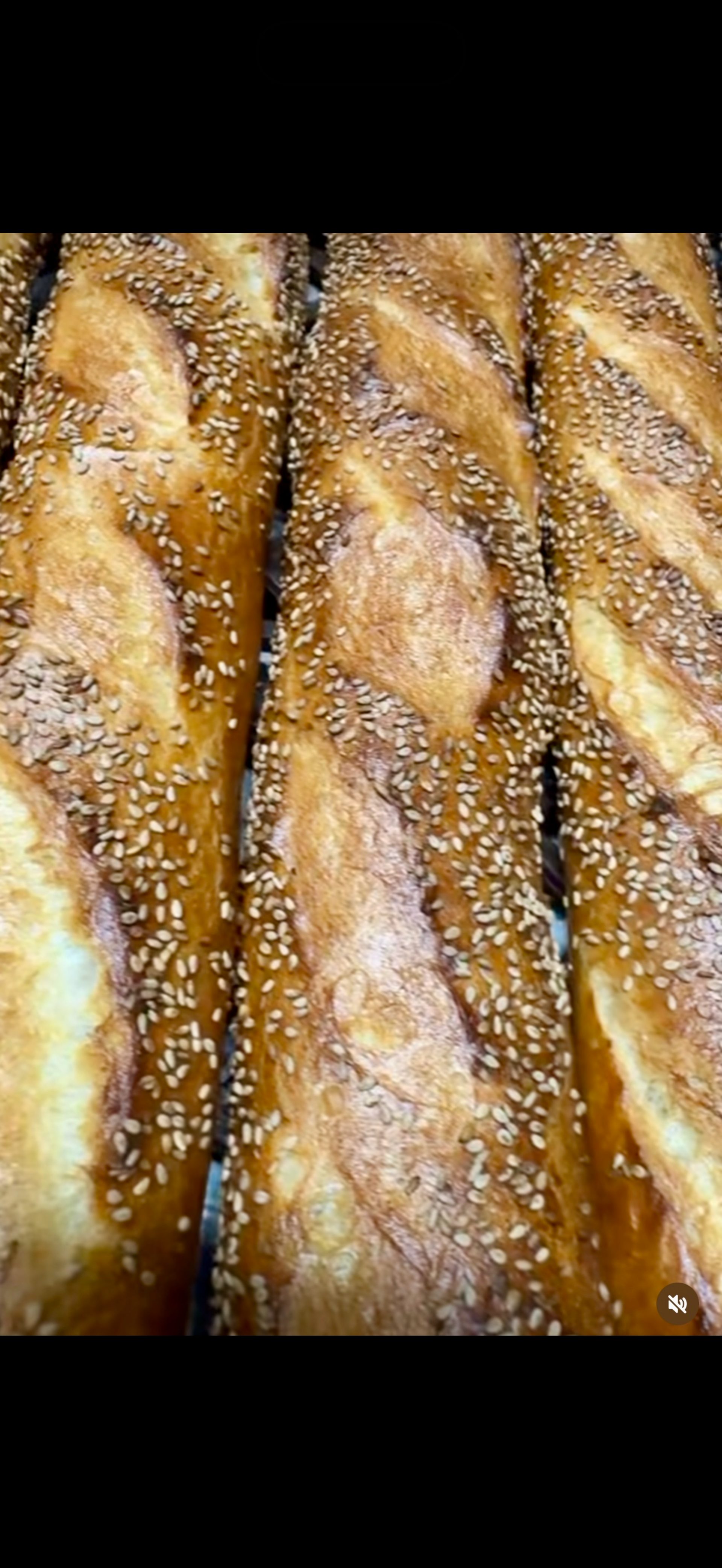 The crusty seeded roll